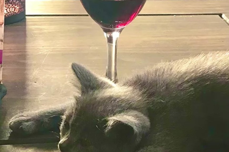 ELLITORAL_423939 |  Gentileza Kathryn Clark por ?Wine Time?.