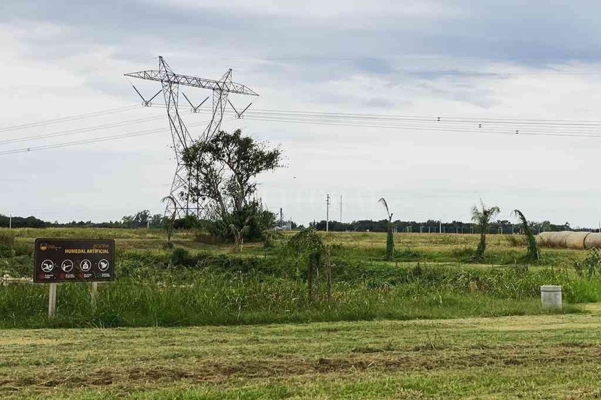 ELLITORAL_365541 |  Gentileza