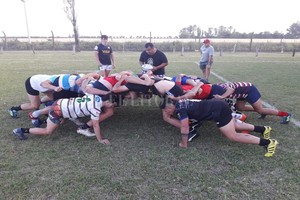 ELLITORAL_415962 |  Gentileza