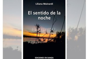 ELLITORAL_426096 |  Gentileza El sentido de la noche , de Liliana Mainardi, Ediciones en danza, Buenos Aires, Argentina. 2021 (64 Págs.)