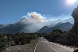 ELLITORAL_411642 |  Gentileza