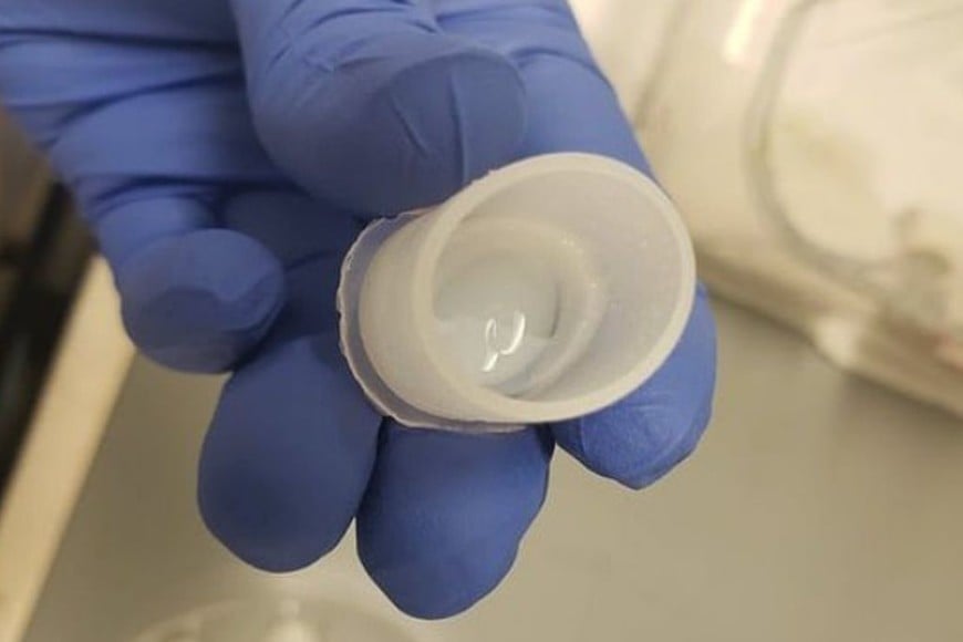 ELLITORAL_433345 |  Gentileza D.R