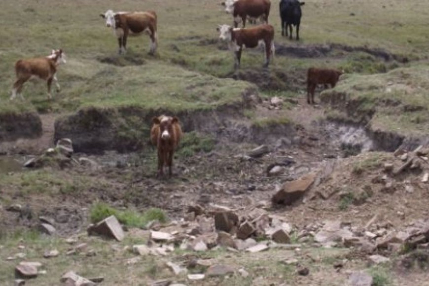 ELLITORAL_427975 |  Gentileza D.R