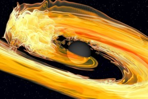 ELLITORAL_386779 |  Instituto Max Planck Representación de la fusión entre un agujero negro, en el centro, y una estrella de neutrones.