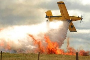 ELLITORAL_398122 |  Gentileza