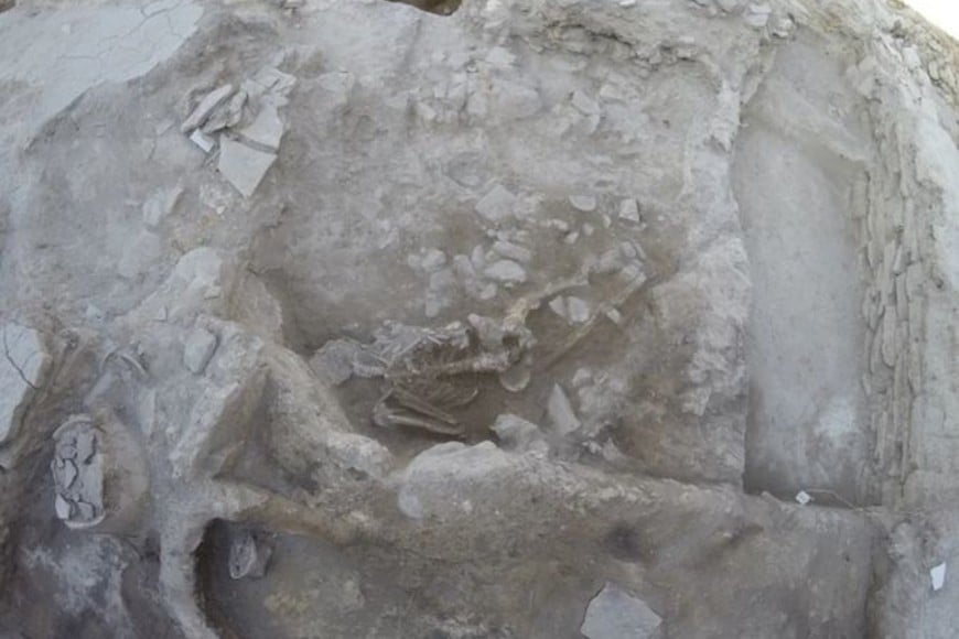 ELLITORAL_427356 |  Gentileza D.R