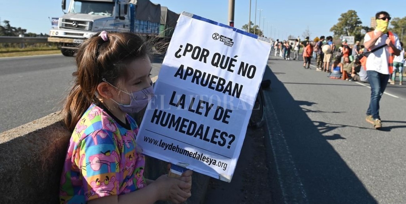 Trascendió que no incluyeron la Ley de Humedales a extraordinarias y ambientalistas marcharán en Rosario