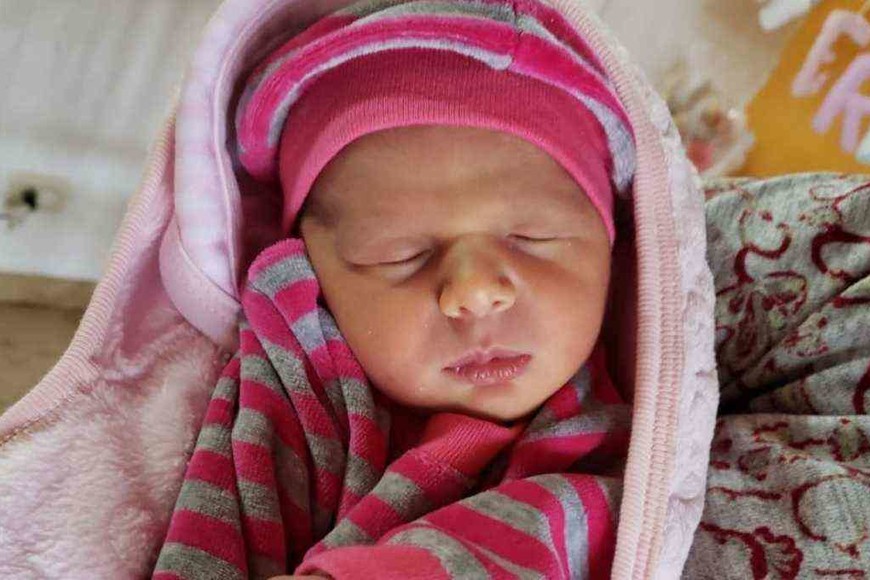 ELLITORAL_419719 |  Gentileza La pequeña Nerela.