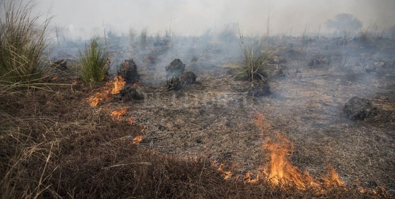 Otra vez las quemas en las islas: "Ya deberían estar funcionando los faros"