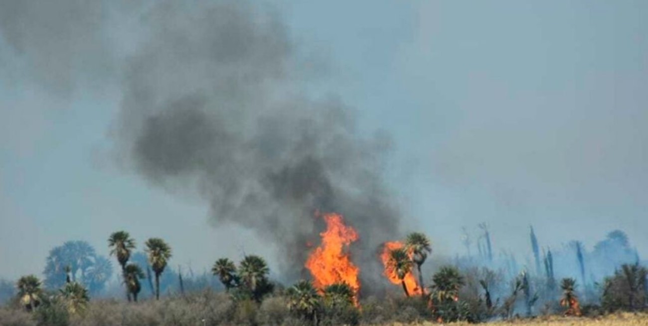 La Rioja, Catamarca y San Luis registraban hoy focos activos de incendios forestales