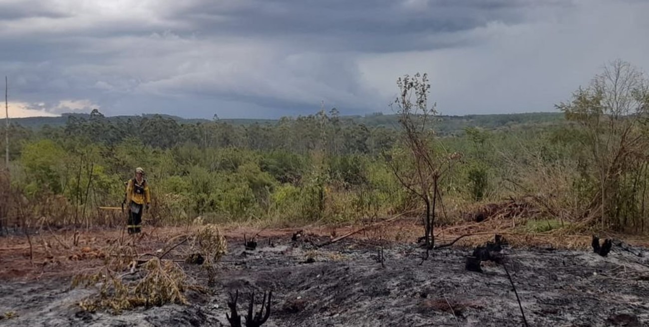 Corrientes: más de un millón de hectáreas fueron afectadas por los incendios