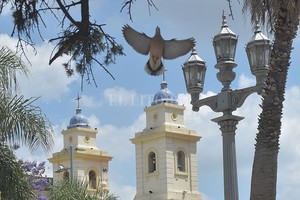 ELLITORAL_417991 |  Flavio Raina INSTANTÁNEA -  Las campanas de la Catedral