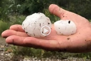 ELLITORAL_430985 |  Gentileza D.R