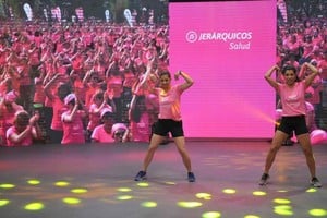 ELLITORAL_411314 |  Archivo El Litoral EN 2020.El año pasado, por la pandemia, el Vestite de Rosa debutó en modalidad virtual. Este año también lo será, pero combinada con una actividad en el Parque Federal.