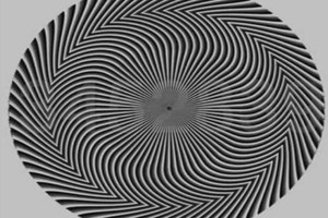 ELLITORAL_439110 |  Captura D.R