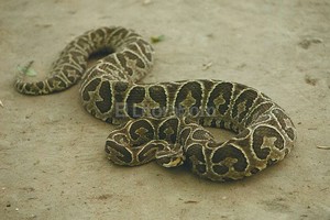 Archivo El Litoral / José Vittori