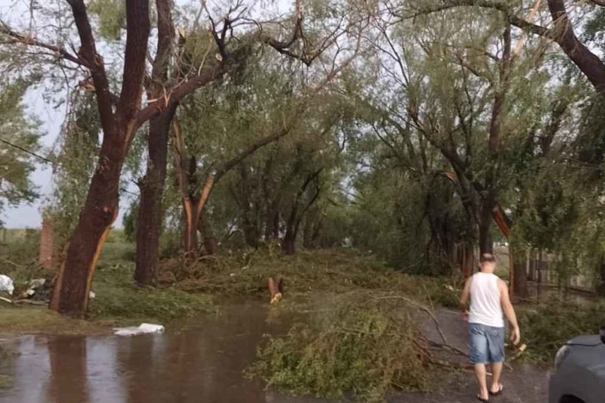 ELLITORAL_424188 | Redes sociales D.R