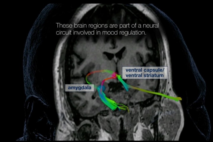 ELLITORAL_411355 |  Gentileza