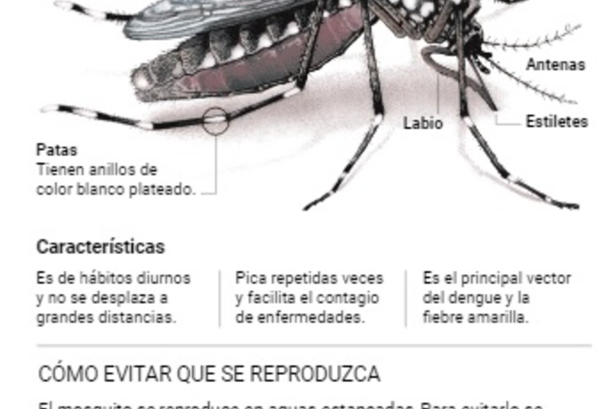 ELLITORAL_369550 |  Gentileza