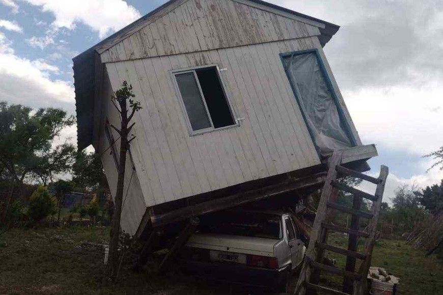 ELLITORAL_410682 |  Gentileza