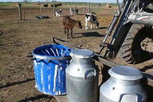 Imagen ilustrativa/Archivo El Litoral Tenía 12 años cuando sus tíos lo llevaron a ordeñar vacas, bajo amenaza de matarlo de un escopetazo si volvía con su madre.