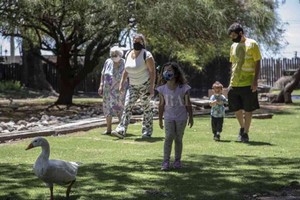 ELLITORAL_418428 |  Gentileza