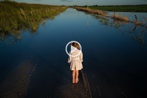 ELLITORAL_432185 |   D.R