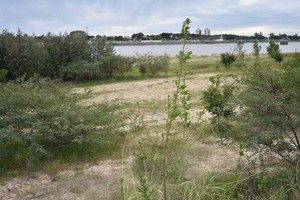 ELLITORAL_377413 |  Manuel Alberto Fabatía