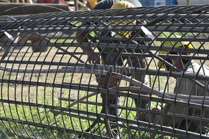 ELLITORAL_415377 |  Mauricio Garín