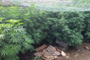 ELLITORAL_432529 |  Gentileza D.R