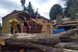 ELLITORAL_413095 |  Twitter Protección Civil realizó diversas acciones en Bariloche por el fuerte viento. Debieron asistir a solicitud de a caídas de árboles y despeje de caminos.