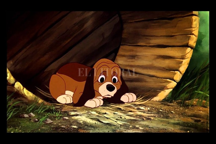 ELLITORAL_420897 |  Disney