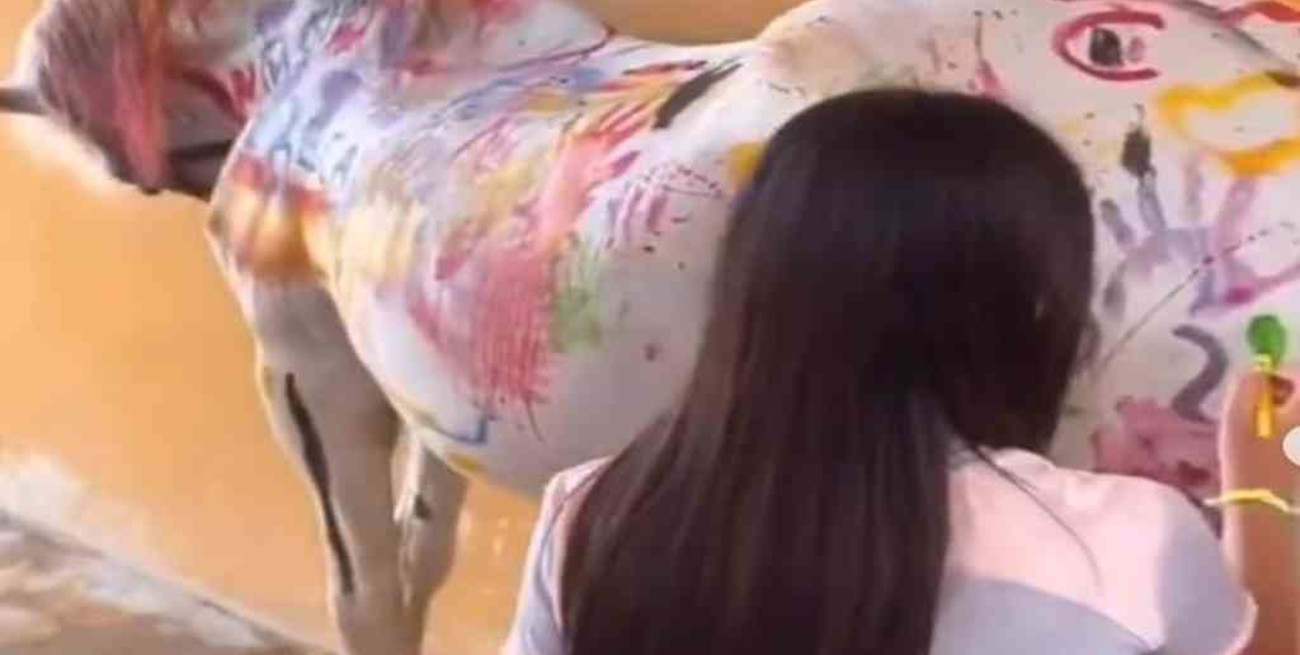 Indignación en España por una actividad escolar que muestra a niños pintando sobre la piel de un caballo