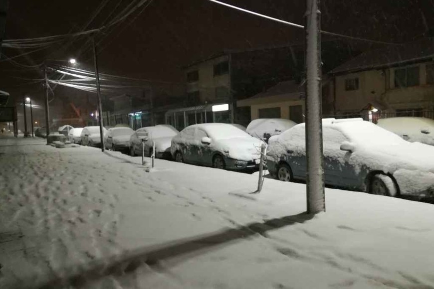 ELLITORAL_399689 |  Gentileza