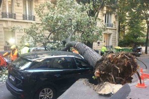 ELLITORAL_412220 |  Imagen ilustrativa