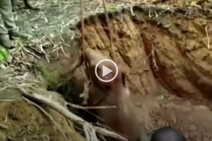 ELLITORAL_369345 |  Captura de video