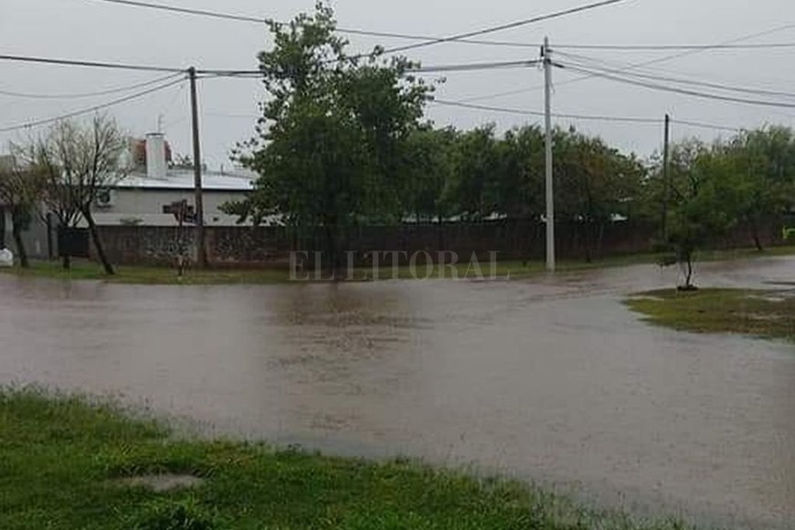 ELLITORAL_365997 |  Gentileza