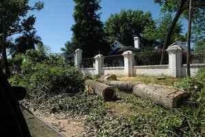 Mauricio Garín En el distrito costero la vegetación es muy profusa. Intentarán gestionar mejor los restos de las podas, muchas de las cuales son exageradas.
