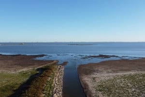 ELLITORAL_435051 |  Armando Senese D.R