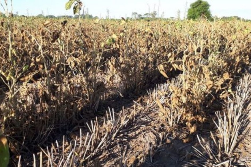 ELLITORAL_427976 |  Gentileza D.R