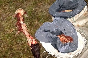 ELLITORAL_395113 |  Captura de pantalla