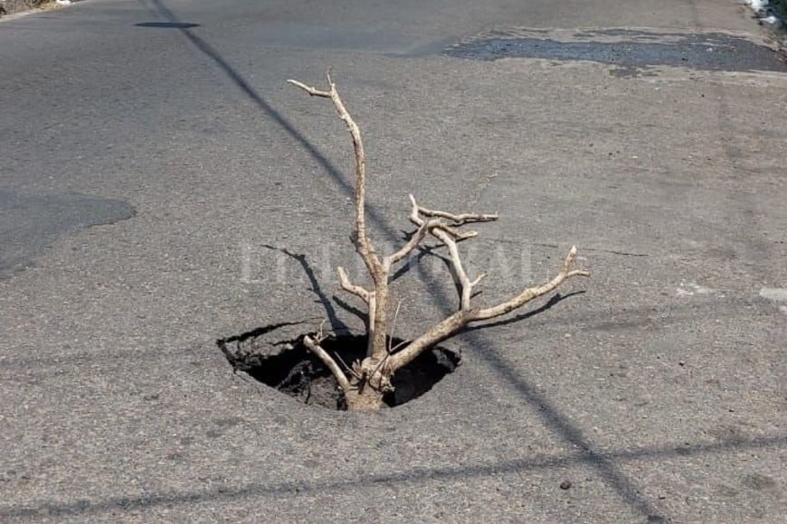 ELLITORAL_430827 |  El Litoral D.R