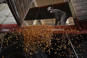 ELLITORAL_364152 |  Archivo El Litoral / Mauricio Garín