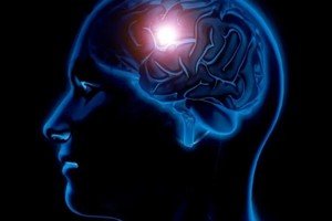 ELLITORAL_411354 |  Gentileza