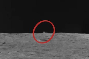 ELLITORAL_423038 |  Captura de pantalla D.R