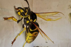 ELLITORAL_420073 |  IG Odeith