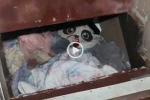 ELLITORAL_437748 |  Captura de video D.R