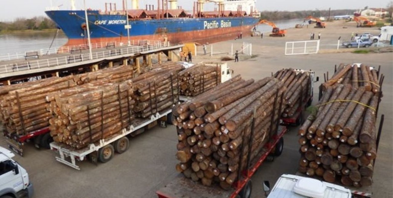 Cargan 17.000 toneladas de madera de pino de Corrientes y Entre Ríos con destino a India