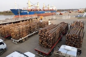 ELLITORAL_419742 |  Gentileza Imagen ilustrativa