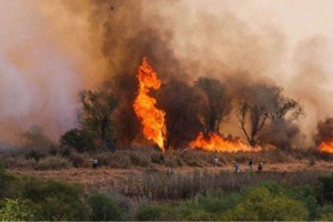 ELLITORAL_410007 |  Gentileza Imagen ilustrativa